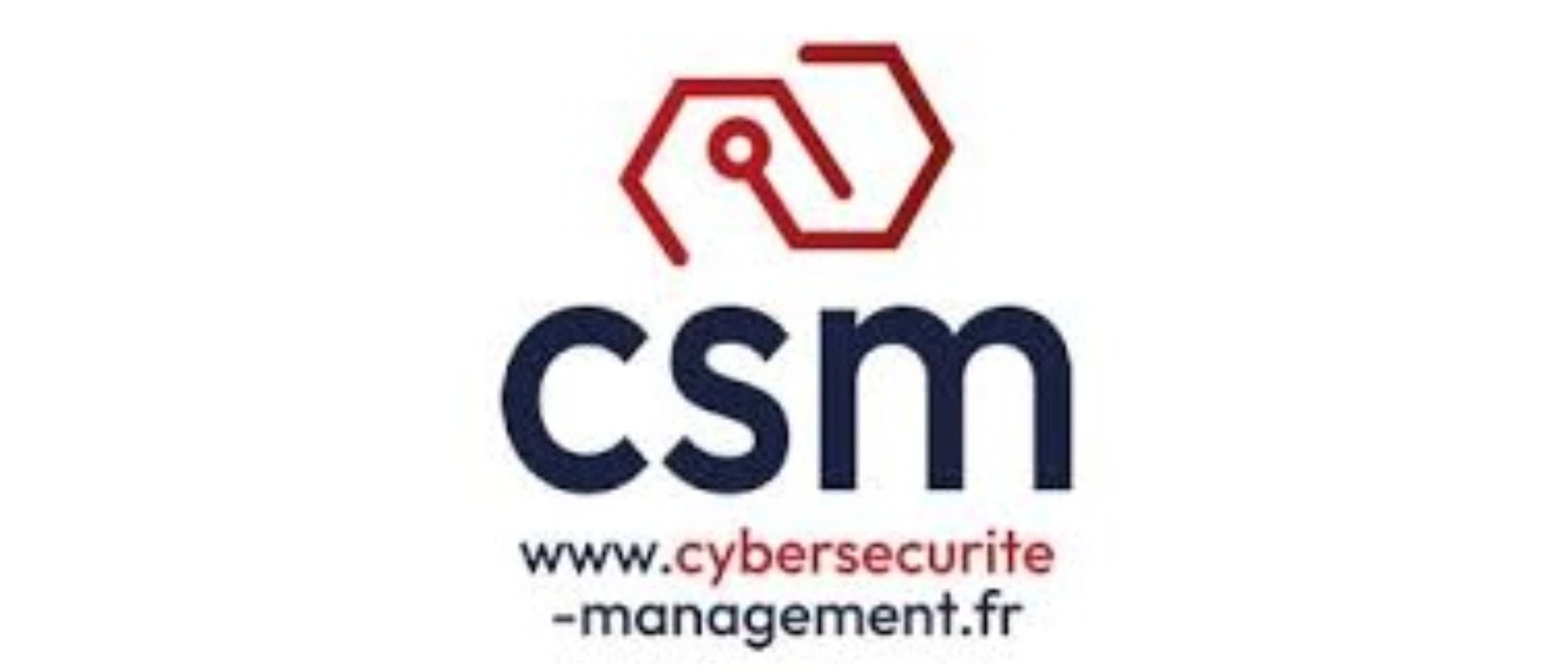 Blitz CSM - Cyber Sécurité Management
